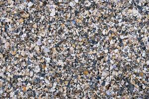 Top view of beach covered in broken seashell fragments and shell crumbs. Natural texture with scattered shell pieces in various shapes and colors. For backgrounds, nature themes, and coastal designs. photo