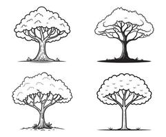 Set of trees outline, pine, palm tree, jungle, winter, forest, and woodland silhouettes illustration on isolated white background vector