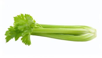 Bunch of Celery on White Background photo