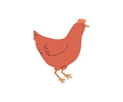 A simple, stylized hen in a side view, great for poultry farming or rural-themed graphics vector