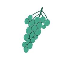 Hand-drawn illustration of a bunch of green grapes. Ideal for wine-related projects, food illustrations, and organic product branding vector