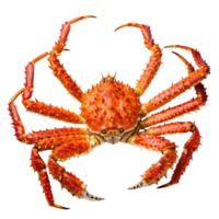 King crab on transparent background png