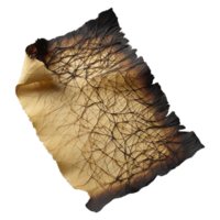 a piece of paper with a burnt edge png