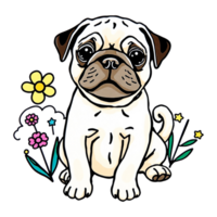pug dog with flowers and flowers on transparent background png