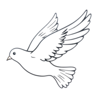 a white dove flying on a transparent background png
