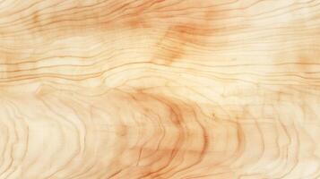 Maple Wood Surface. Wooden background texture. photo