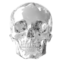 front view clear glass skull isolated on transparent background png