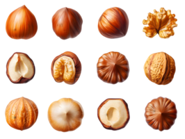 Assortment Of Hazelnuts And Walnuts Top View png