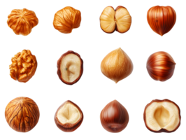 Assortment Of Nuts Isolated on Transparent Background png