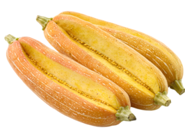 Three Open Yellow And Pink Squash Displayed Close Up png