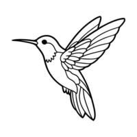 Hummingbird Outline Illustration for Coloring Book vector
