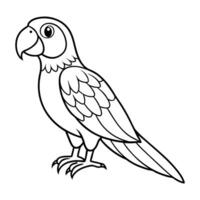Parrot Outline Illustration for Coloring Book vector