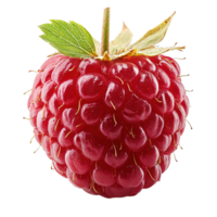 Freshly Picked Raspberry Berry with Green Leaves and Juicy Texture Isolated on Transparent Background png