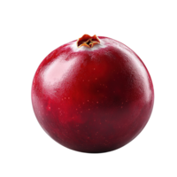 Ripe Cranberry with Deep Red Color and Detailed Surface Isolated on Transparent Background png