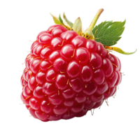 Close Up of Juicy Raspberry Showing Detailed Texture and Natural Freshness Isolated on Transparent Background png