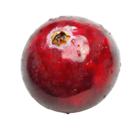 Whole Cranberry with Vibrant Red Color and Smooth Surface Isolated on Transparent Background png