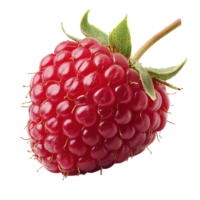 Ripe Raspberry Fruit with Tiny Drupelets and Leafy Stem Isolated on Transparent Background png