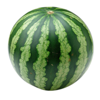Fresh Watermelon Showcasing Its Distinctive Green Pattern and Natural Texture Isolated on Transparent Background png
