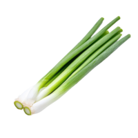 Freshly sliced green onion on a transparent background, highlighting its vibrant colors and crisp texture, green onion slice on transparent background png