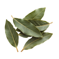 Fresh bay leaves arranged on a transparent background showcasing their natural beauty and rich texture, bay leaves isolated transparent background png