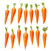 Fresh carrots arranged neatly on a transparent background for a vibrant and healthy presentation, fresh vegetable carrots isolated on transparent background png