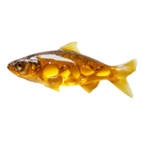Fish oil encapsulated in a realistic fish shape on a transparent background showcasing health benefits and nutritional value, fish oil on transparent background png