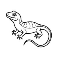 Hand-Drawn Black and White Salamander Illustration with Detailed Patterns vector