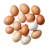 Fresh chicken eggs arranged on a clean transparent background showcasing various colors and textures in natural light, Chicken Eggs on transparent background png