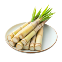 Bamboo shoots on a round plate highlight their natural beauty against a transparent background, Bamboo shoot in a plate isolated on transparent background png