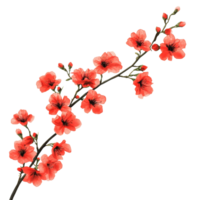 Branch of vibrant red flowers against a clean transparent background highlighting natural beauty, Branch of Red Flowers on transparent background png
