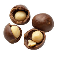 Fresh macadamia nuts with shells on a transparent background, highlighting the rich texture and flavor of this delicious snack, macadamia on transparent background png