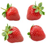 Fresh ripe strawberries arranged on a clean transparent background for a vibrant, appetizing display in natural light, strawberries isolated on transparent background png