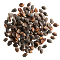 Sato seeds displayed on a transparent background highlighting unique shapes and textures for agricultural and gardening use, Sato seeds isolated on transparent background png