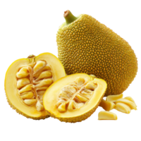 Ripe jackfruit halved to reveal sweet, yellow flesh and seeds on a clean transparent background, Ripe Jackfruit isolated on transparent background png