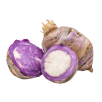 Fresh taro root on a transparent background with a crosssection revealing vibrant purple and transparent flesh, taro isolated on transparent background png
