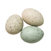 Fresh duck eggs with unique speckled patterns on a clean transparent background, Duck eggs on transparent background png