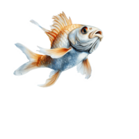Dynamic fish leaping out of water in high resolution against a clear background showcasing its vibrant colors, Dynamic Fish Leaping Out of Water High Resolutionisolated on transparent background png