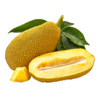 Fresh jackfruit with vibrant yellow flesh and green leaves isolated on a transparent background, Jackfruit with leaf isolated on transparent background png
