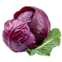 Fresh red cabbage with vibrant leaves isolated on a transparent background for culinary and gardening inspiration, Red cabbage with leaf isolated on transparent background png