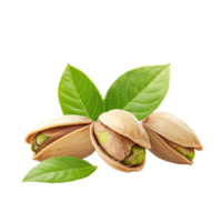Fresh pistachio nuts with green leaves isolated on a clean transparent background for culinary use, Pistachio nuts with leaf isolated on transparent background png