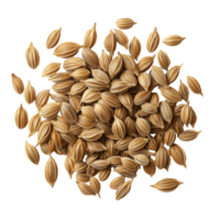 Dill seeds arranged on a transparent background showcasing their unique shape and texture, dill seeds isolated on transparent background png