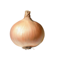 A single onion with smooth skin placed on a plain transparent background showcasing its natural texture and shape, Red sliced onion ontransparent background png