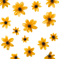 Bright yellow flowers scattered across a clean transparent background create a cheerful and vibrant atmosphere in springtime, yellow flowers on transparent background png