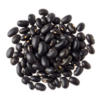 Organic green kernel black beans on transparent background showcasing their rich color and texture, Close up of organic green kernel black bean isolated on transparent Clipping path included png