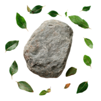 A rock stone surrounded by vibrant green leaves on a clean transparent surface, highlighting natural elements in isolation, Rock Stone Surrounded by Leaves, file of isolated object png