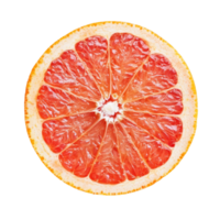 Fresh grapefruit slice showcasing vibrant pink segments on a clean transparent background for culinary inspiration, grapefruit slice on transparent background png