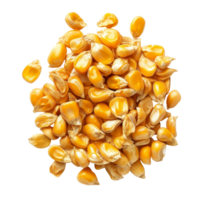 A collection of corn seeds isolated on a transparent background showcasing their vibrant yellow color and unique textures, Corn seedsisolated on transparent background png