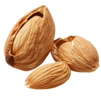 Almonds in their natural shell resting on a clean surface with a transparent tint, Almonds with shell isolated png