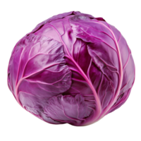Vibrant red cabbage exhibit isolated against a clean transparent background in a simple and natural setting, Red cabbage isolated on transparent background png