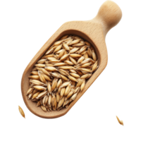 Barley grains in a wooden scoop isolated on a transparent background for culinary use, Barley Grains tn the scoop Isolated on transparent background png